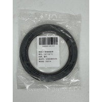 Сальник колінвала передній 100х130х12 для HOWO T5G, C7H (з дв. MC11/MC13) 201V01510-0282