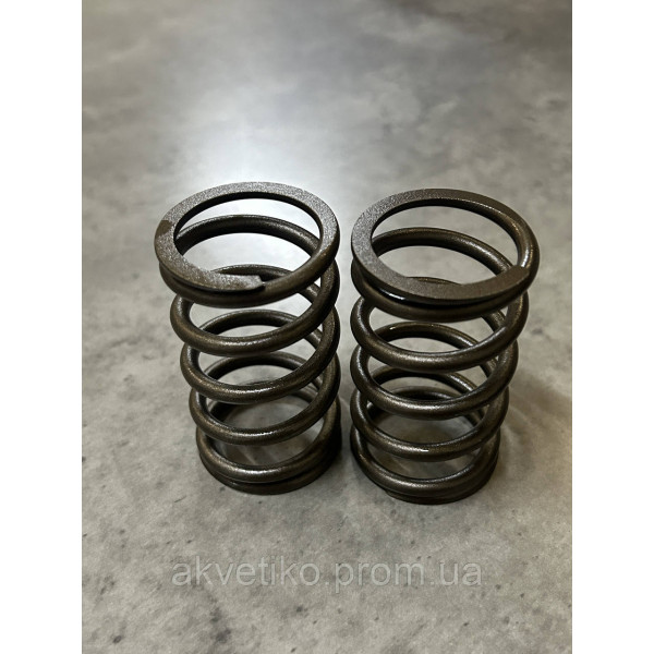 Пружина клапана зовнішня WD615/WP10 Createk VG1500050002