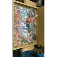 Комплект прокладок нижній на двигун Cummins(Камінс) C8.9 4089759, 87351543,4089889