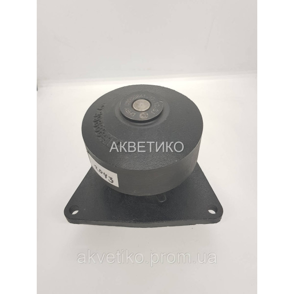 Водяний насос (помпа) Cummins 8.3, 8.9, 3966841