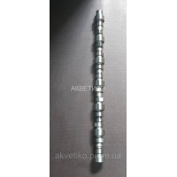 Вал розподільний (розпочив) Сummins 8.3, 8.9 3976619, 3976620