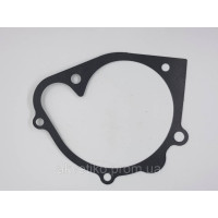 Прокладка водяного насоса (насоса) на Shanghai D6114 D02A-307-01