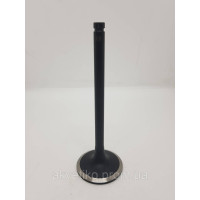 Клапан впускной Cummins 4B3.9/6B5.9 4995554 / 5307875